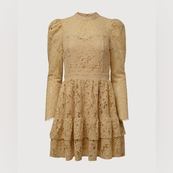 Metallic Lace Mini Dress NWT - Picture 5 of 9